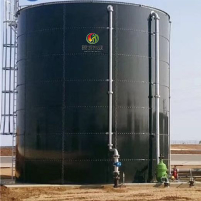 집을 위한 소규모 바이오 Cng 공장 바이오가스 시스템 가지고 다닐 수 있는 바이오 가스 플랜트