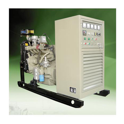 100KW 집을 위한 생물자원 자가 발전 설비 바이오가스 발전기