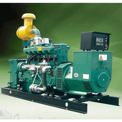 200KW 바이오가스 발전기는 415V 가스 터빈 전기 발전에서 설정했습니다