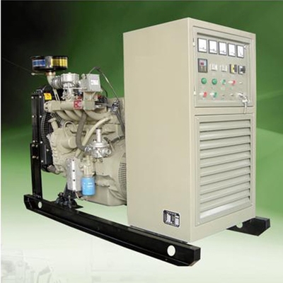 대안 100 Kw 바이오가스 발전기 집 바이오가스 발전기